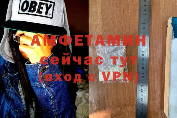 гашик Осинники