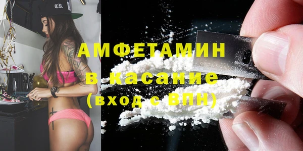 гашик Осинники