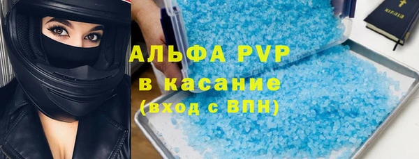 гашик Осинники