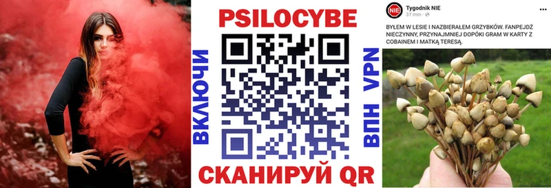 что такое Красноперекопск Псилоцибиновые грибы ЛСД