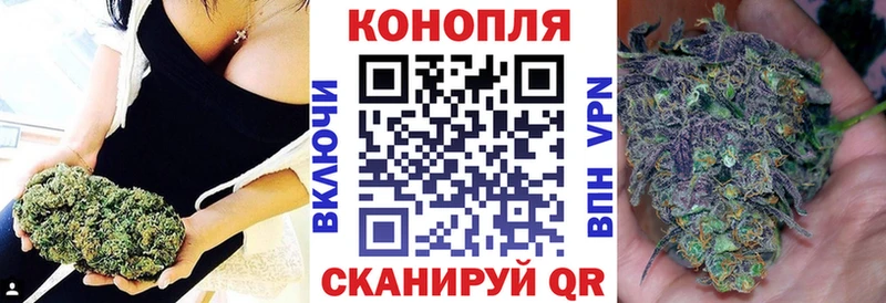 Бошки Шишки THC 21%  где найти наркотики  Красноперекопск 